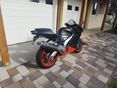 APRILIA RSV 1000 2001/5 - 3