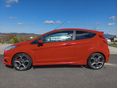 FORD FIESTA 2014/8 - 8