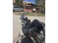 YAMAHA XVS 1100 A DRAG STAR 2005/5 - 3