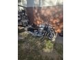 YAMAHA XVS 1100 A DRAG STAR 2005/5 - 8