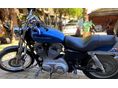 HARLEY-DAVIDSON SPORTSTER 883 2005 - 2
