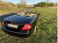 MERCEDES-BENZ CLK 500 2004/6 - 3