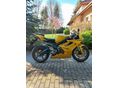 TRIUMPH DAYTONA 675 2006/5 - 2