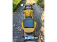 TRIUMPH DAYTONA 675 2006/5 - 5