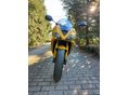 TRIUMPH DAYTONA 675 2006/5 - 6