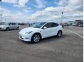 TESLA MODEL Y 2021/12 - 3