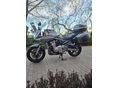 SUZUKI GSF 650 S 
