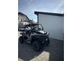 POLARIS RZR 2019 - 5
