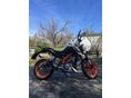 KTM 390 DUKE WHITE ABS
