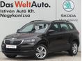 SKODA KAROQ 2021/3 - 1
