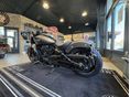 INDIAN SCOUT 2026 - 6