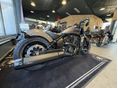 INDIAN SCOUT 2026 - 7