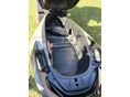 HONDA FORZA 350 2024/12 - 8