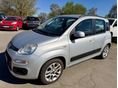 FIAT PANDA 2014/11 - 1