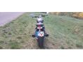 TRIUMPH SPEED TWIN 2021/10 - 4