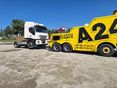 RENAULT 2003/1 - 12