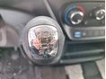 IVECO 2019/1 - 14