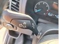 FORD TRANSIT 2021/1 - 13