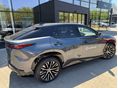 LEXUS RZ 2025/6 - 2
