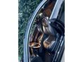 MERCEDES-BENZ CL 600 2008 - 9