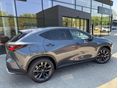 LEXUS NX 2025 - 2