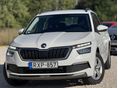 SKODA KAMIQ 2020/2 - 2