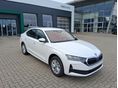 SKODA OCTAVIA 2026 - 2