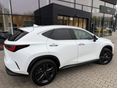 LEXUS NX 2025 - 2