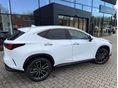 LEXUS NX 2025 - 2
