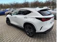 LEXUS NX 2025 - 3