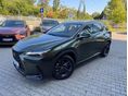 LEXUS NX 2025 - 4