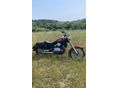 HONDA VT 125 C SHADOW 1999/12 - 5