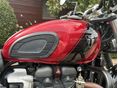 TRIUMPH SPEED TWIN 2024 - 5