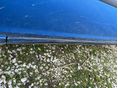 FORD C-MAX 2010/1 - 12