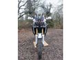 HONDA CRF 1000 L AFRICA TWIN 2016/1 - 7