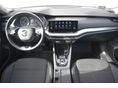 SKODA OCTAVIA 2022/6 - 11