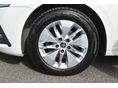 SKODA OCTAVIA 2022/6 - 18