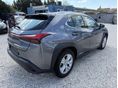 LEXUS UX 2021/12 - 3