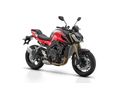 QJMOTOR SRK 800 2026/1 - 7
