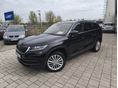 SKODA KODIAQ 2019/4 - 1
