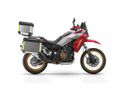 QJMOTOR SRT 800 RX 2026/1 - 7