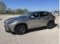 LEXUS NX 2023/5 - 2