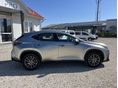 LEXUS NX 2023/5 - 3