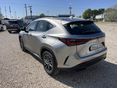 LEXUS NX 2023/5 - 4
