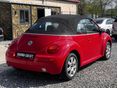 VOLKSWAGEN BEETLE 2003/6 - 6