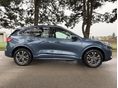 FORD KUGA 2021/10 - 5