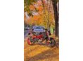 BENELLI BN 125 2019/6 - 6