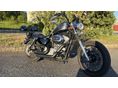 HARLEY-DAVIDSON SPORTSTER Sportster 1200