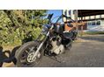 HARLEY-DAVIDSON SPORTSTER 2005/10 - 5