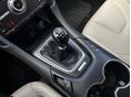 FORD MONDEO 2019/7 - 16
